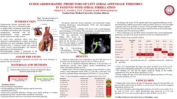ECHOCARDIOGRAPHIC PREDICTORS OF LEFT ATRIAL APPENDAGE THROMBUS 
IN PATIENTS WITH ATRIAL FIBRILLATION