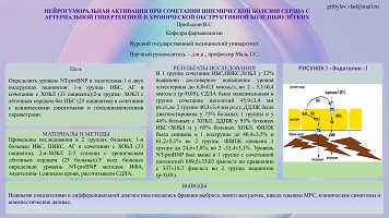 НЕЙРОГУМОРАЛЬНАЯ АКТИВАЦИЯ ПРИ СОЧЕТАНИИ ИШЕМИЧЕСКОЙ БОЛЕЗНИ СЕРДЦА С 
АРТЕРИАЛЬНОЙ ГИПЕРТЕНЗИЕЙ И ХРОНИЧЕСКОЙ ОБСТРУКТИВНОЙ БОЛЕЗНЬЮ ЛЁГКИХ 