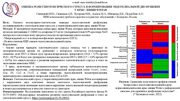 ОЦЕНКА РОЛИ ГЕНОТОКСИЧЕСКОГО СТРЕССА В ФОРМИРОВАНИИ ЭНДОТЕЛИАЛЬНОЙ ДИСФУНКЦИИ 
У КРЫС ЛИНИИ WISTAR