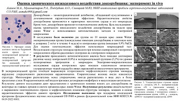ОЦЕНКА ХРОНИЧЕСКООГО НИЗКОДОЗОВОГО ВОЗДЕЙСТВИЯ ДОКСОРУБИЦИНА: ЭКСПЕРИМЕНТ IN VIVO